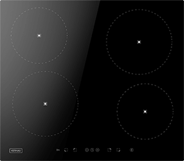 Induktionsfeld Reparatur Geesthacht